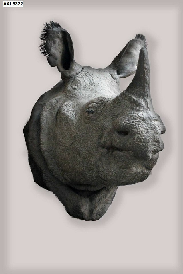 Indian Rhino Head Fiberglass Rhinoceros