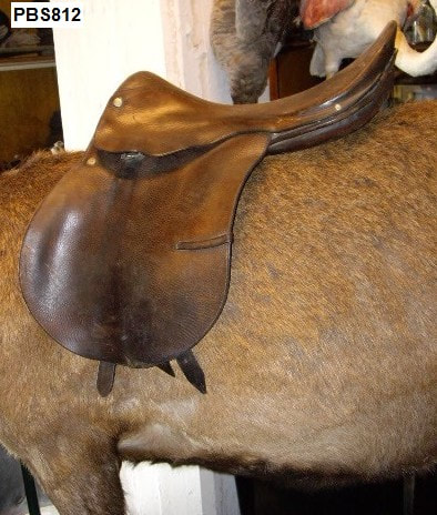 saddle